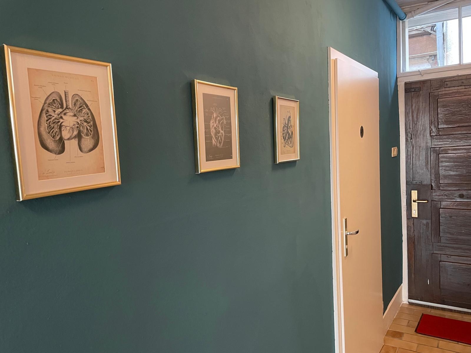 Eingangsbereich der Praxis mit stilvollen anatomischen Bildern an einer dunkelgrünen Wand und Blick auf die Eingangstür